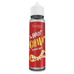 Freeze Goyave 50 ml Shake N Vape Liquideo